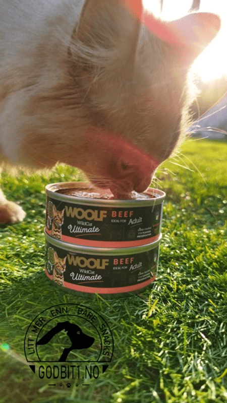 Woolf Wildcat Beef Pate 85g