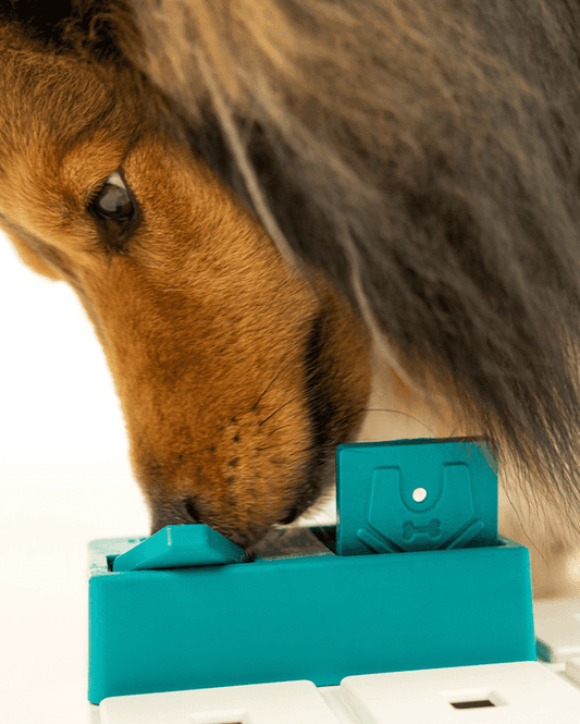 Hovedbilde Pawzler Nai - 2 pakning