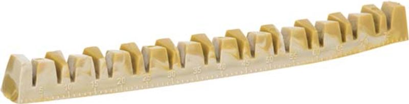 Veggie JawBone