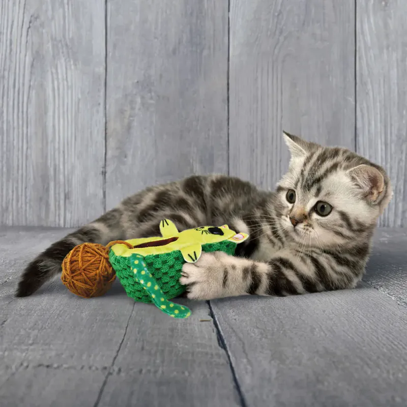 Kong Wrangler AvoCato