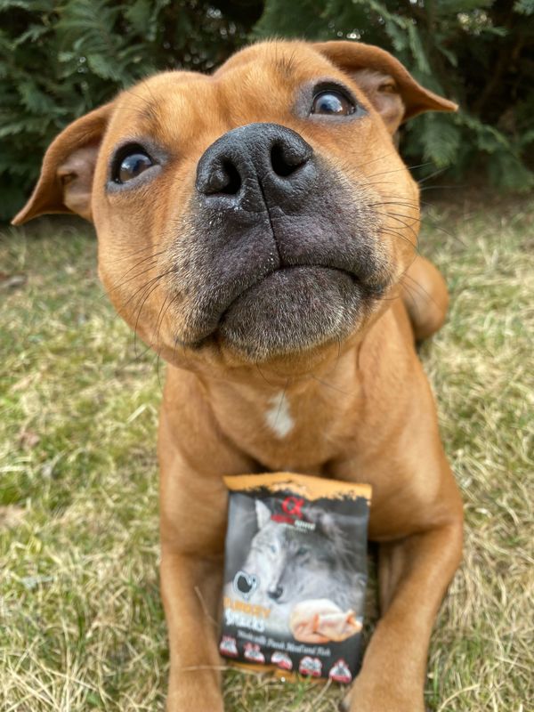 AlphaSpirit Turkey Snack 50g