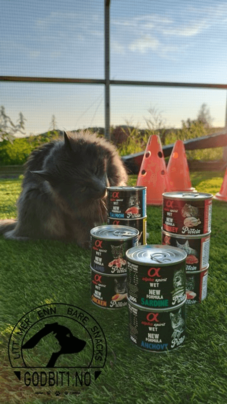 AlphaSpirit Cat Iberico 200g