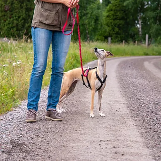 Hovedbilde Halvelastiskt koppel L svart
