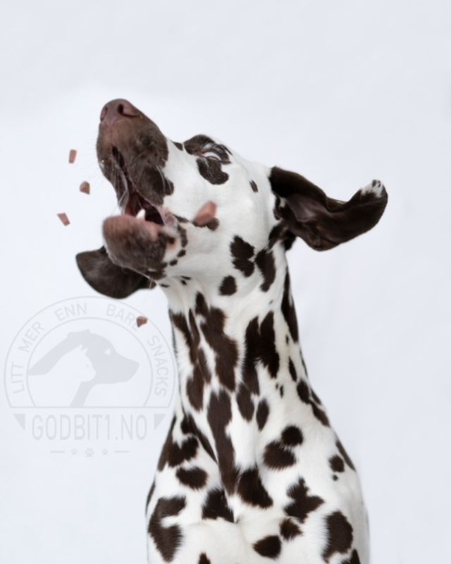 Godbitpølse - Kylling